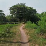 Cycling trail