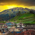 Nepal Van Java
