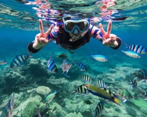 Snorkeling Karimunjawa