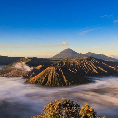 Bromo
