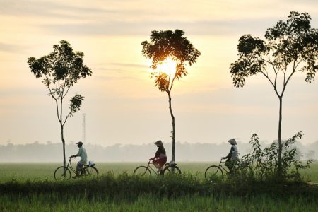 Three farmers on bicycles
