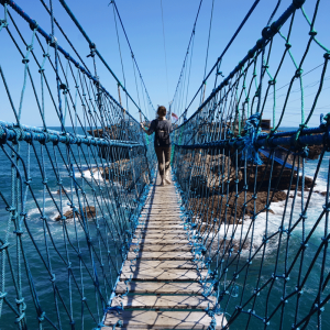 A bridge over the ocean